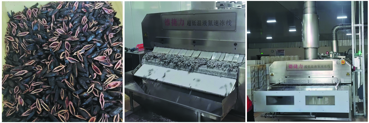 湖南某科技有限公司-速冻槟榔