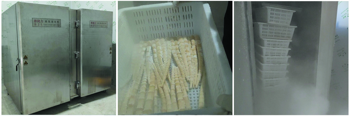 云南某生物科技公司—速冻竹笋