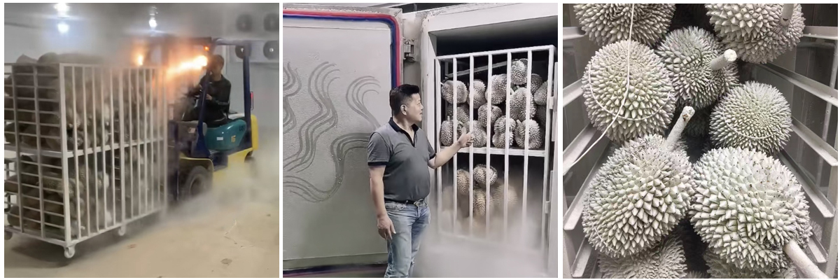 f037e2630b28aa2eddb9ed4f69543929