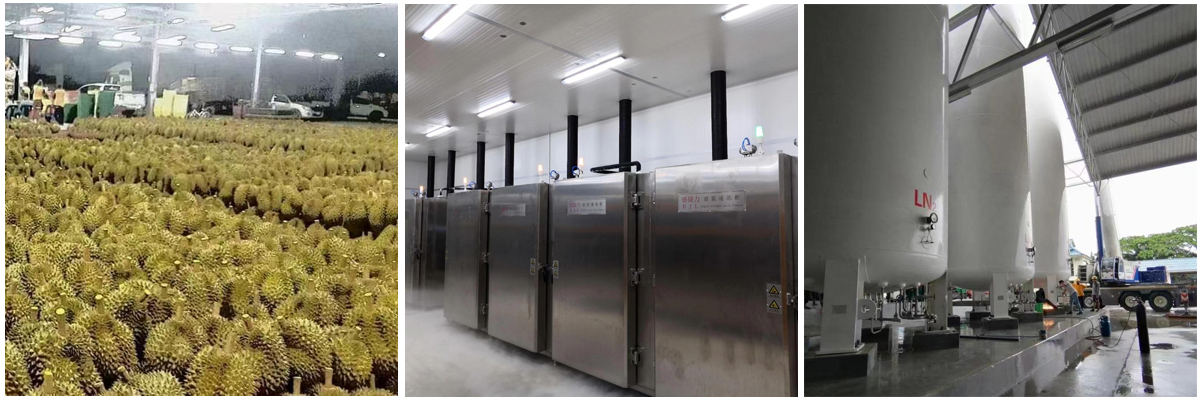 泰国时令—速冻榴莲