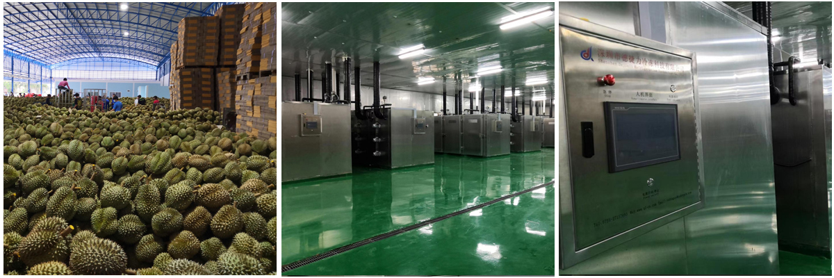 泰国高丰—速冻榴莲