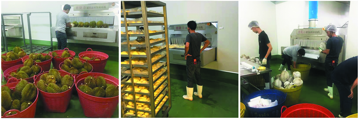 泰国鼎丰—速冻榴莲