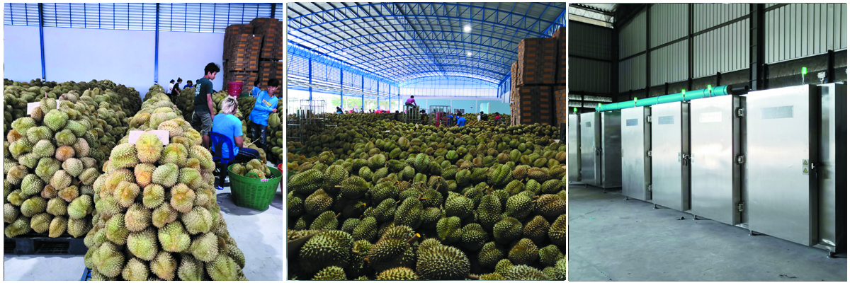 e276a6b4934501f98052f1e77d3c157a