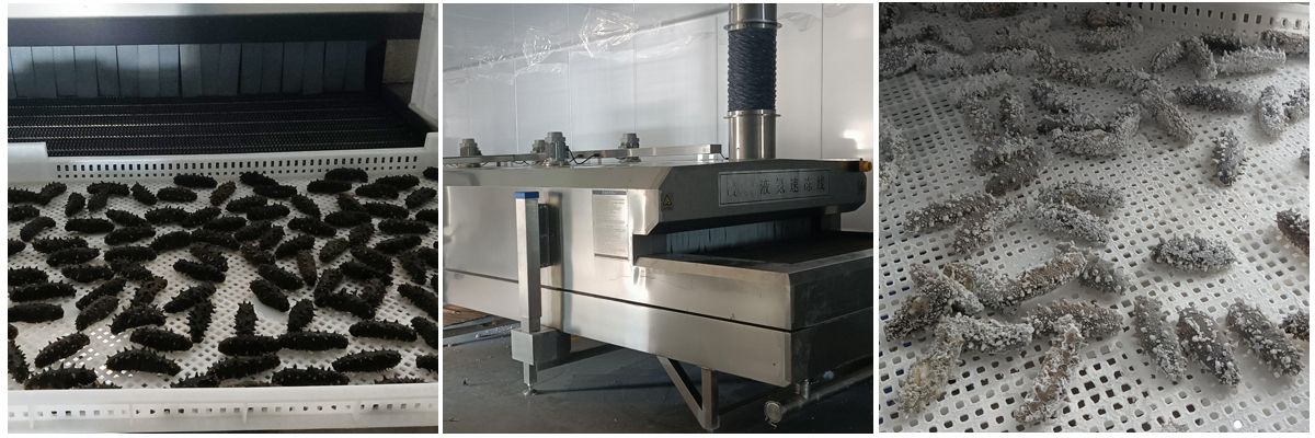 辽宁某食品有限公司-冻海参