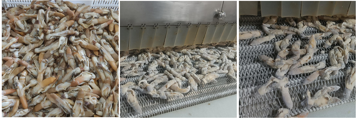 丹东某海业-速冻蛏子