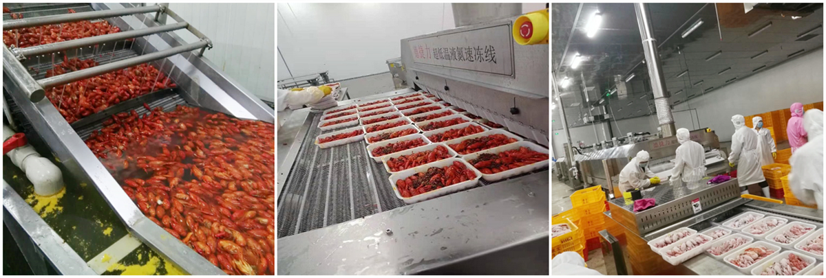 益阳某水产——速冻小龙虾