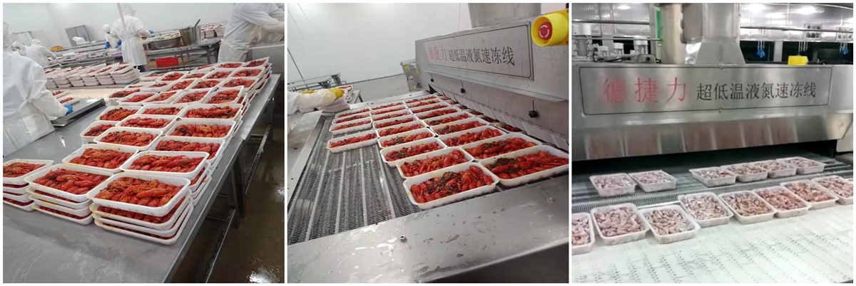 盱眙某集团_速冻小龙虾 盱眙某集团_速冻小龙虾