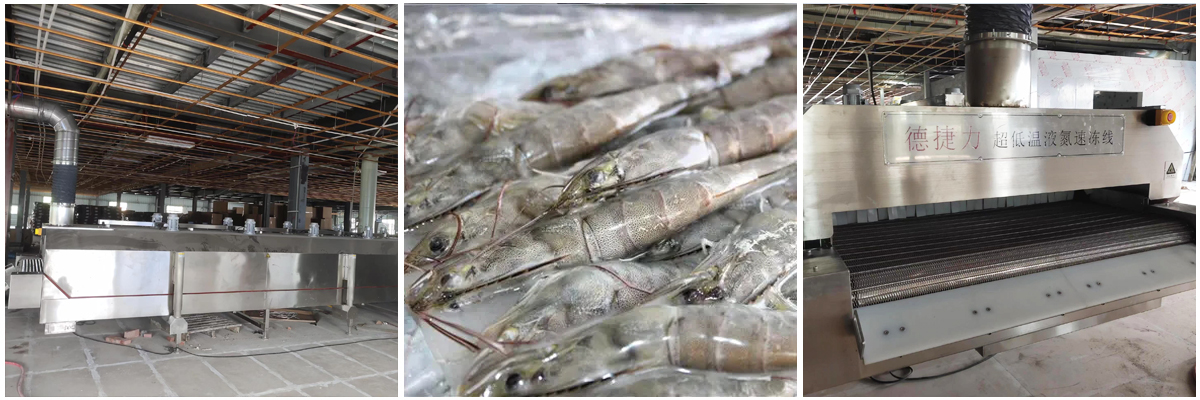 北海某食品有限公司—速冻虾