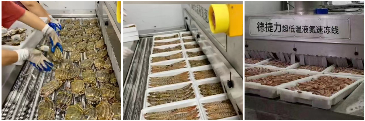 舟山某水产—速冻海鲜