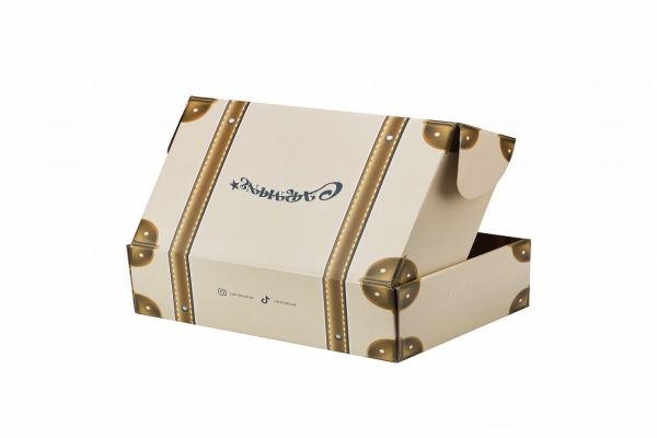 Custom Premium Apparel Packaging | Manufacturer Of Corrugated Boxes China | Suitcase Style Printing